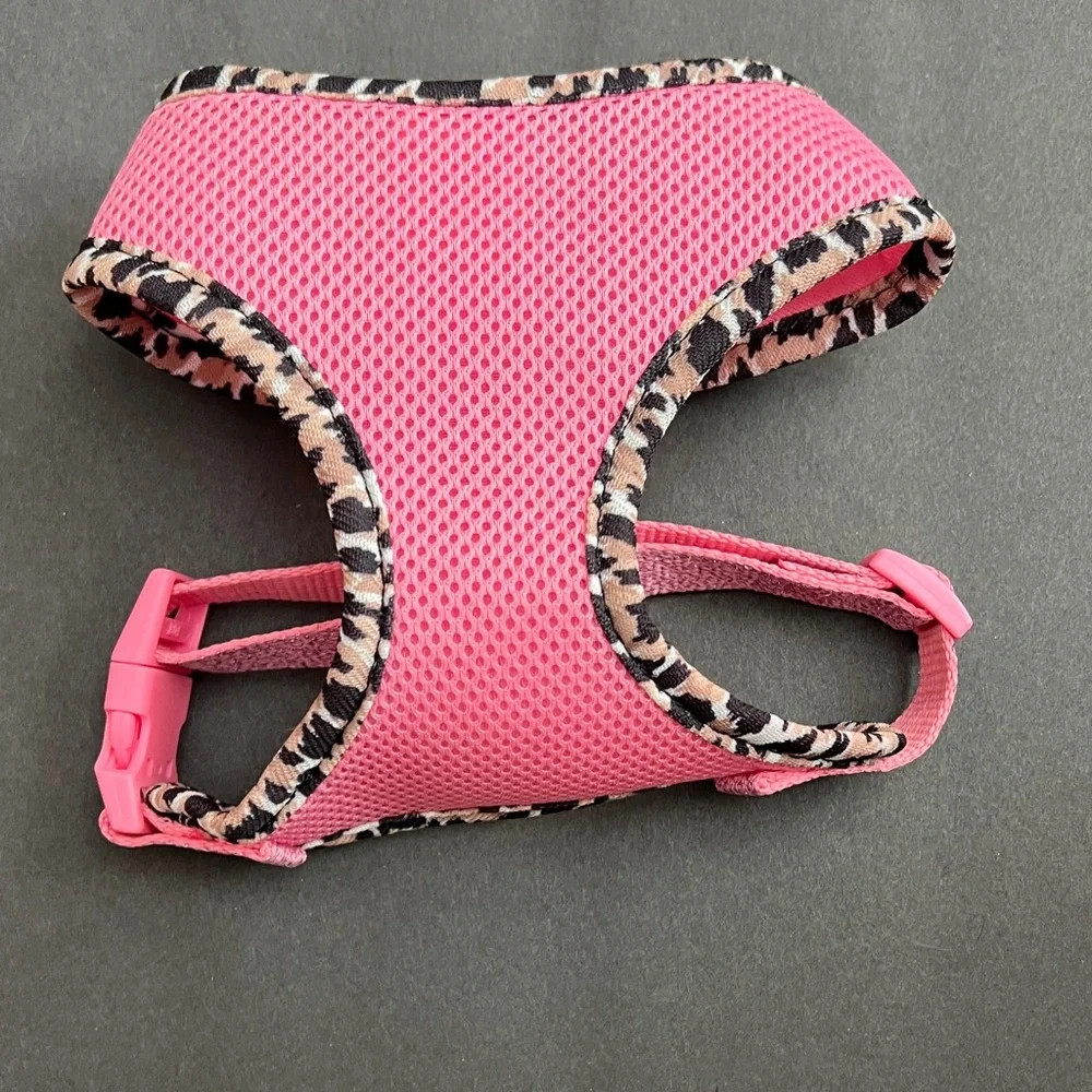 Thalia Sodi chic accessory